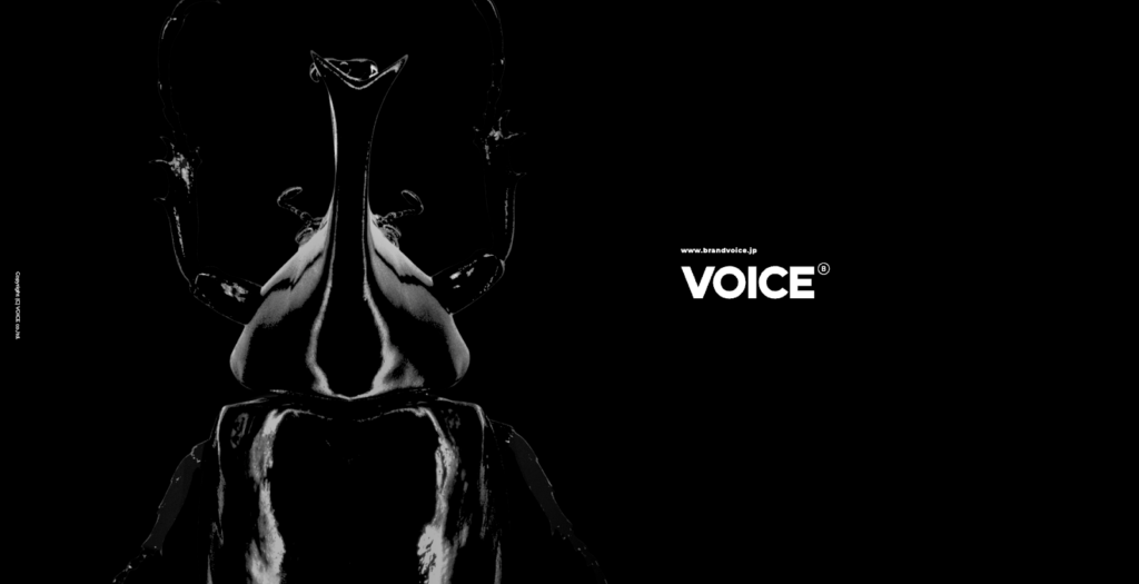 株式会社ヴォイス